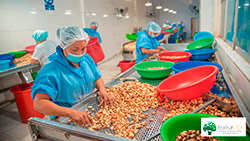 Ecofruit Ltda. Production and Trading Brazil Nuts from Bolivian Amazon