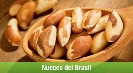 Nueces del Brasil